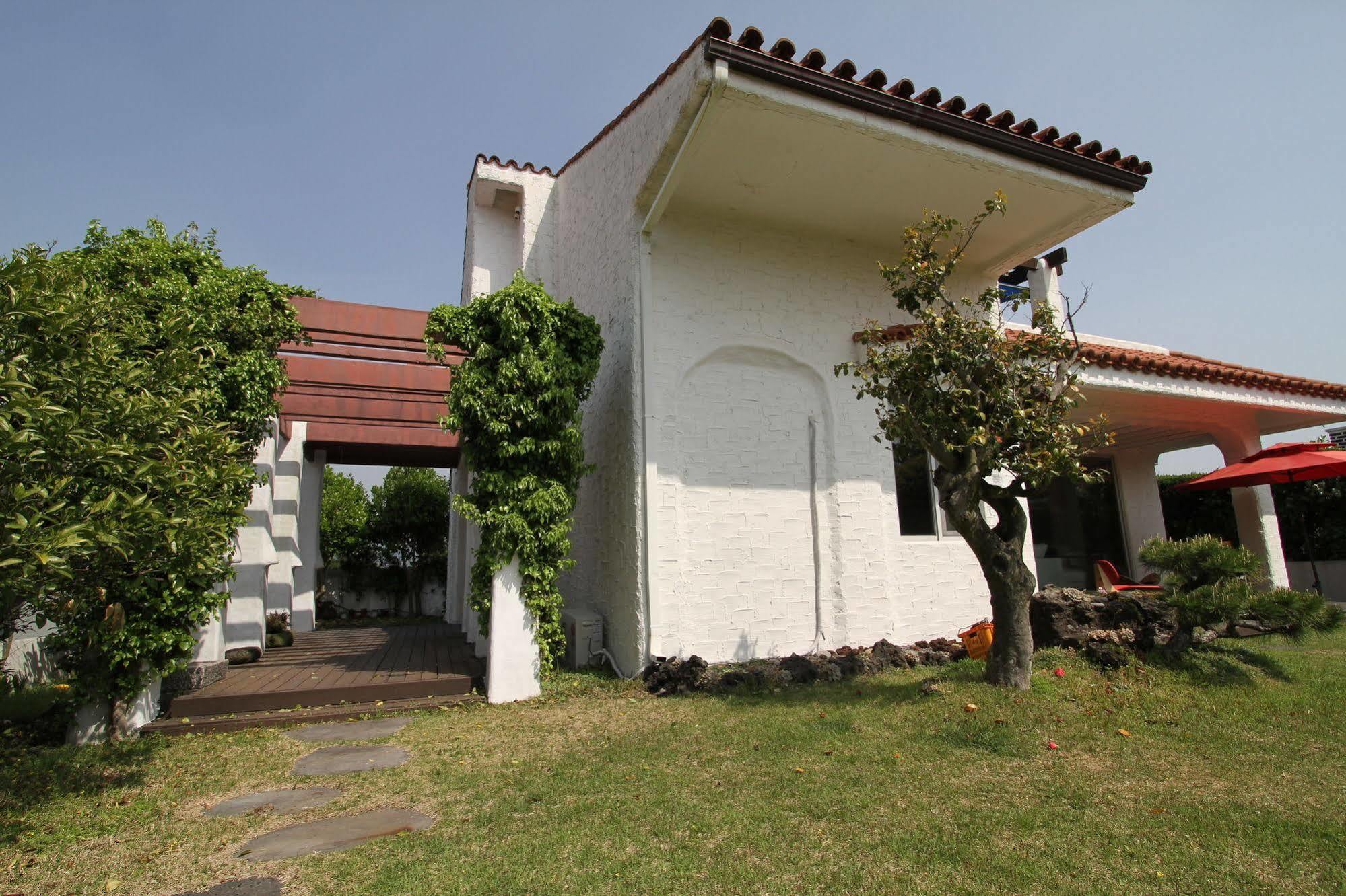 Palm Tree Villa Sogüpcho Exteriér fotografie