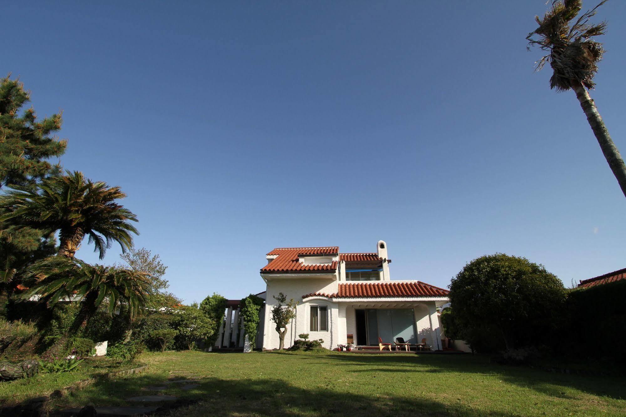 Palm Tree Villa Sogüpcho Exteriér fotografie